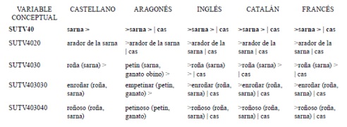 Representación del concepto |SUTV40|sarna|cas| y del racimo que pende de él.