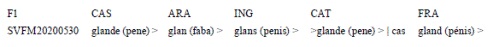 Traducción del concepto |SVFM20200530|a ing y fra.