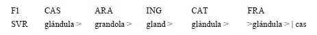 Representación del concepto |SVR|glándula|cas|.