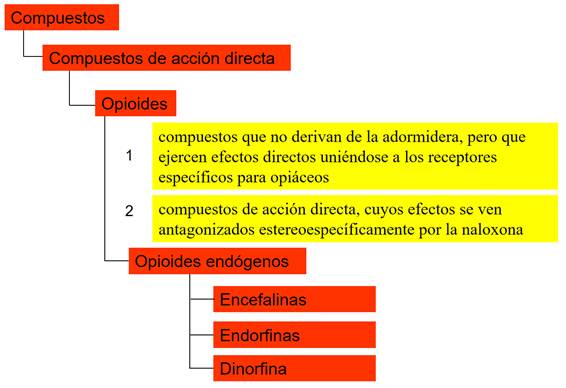 Ejemplificación de términos y definiciones extraídos de un texto