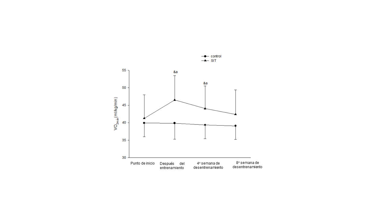 VO2mx durante el entrenamiento y el periodo de desentrenamiento durante el estudio