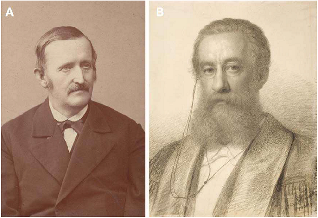 A - Heinrich Gustav Reichenbach (1824-1899). Courtesy of the Archives, Naturhistorisches Museums, Wien. B - Ernst Hugo Heinrich Pfitzer (1846-1906). Charcoal by Guido Philipp Schmidt.