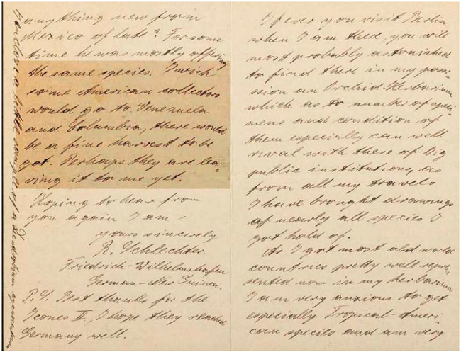 Letter from Schlechter to Ames, Feb. 2, 1909: “I wish some American collectors would go to Venezuela and Columbia, there would be a fine harvest to be got. […]”. In Oakes Ames Orchid Herbarium, Harvard University.