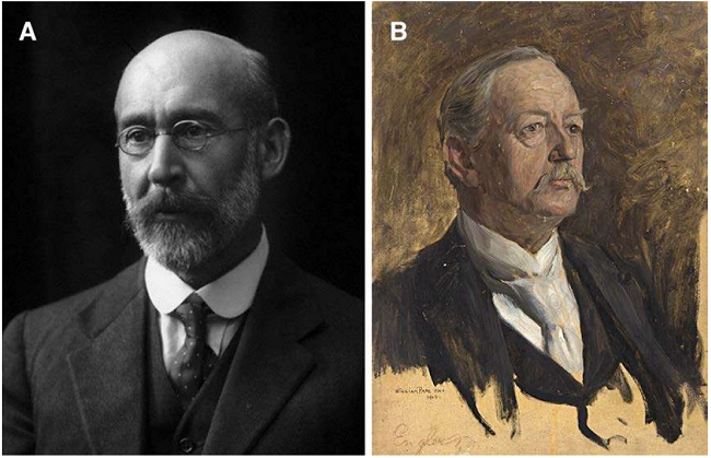A - Alfred Barton Rendle (1865-1938). Photograph by Walter Stoneman. B - Friedrich Gustav Adolf Engler (1844-1930). Study of a portrait by William Page.