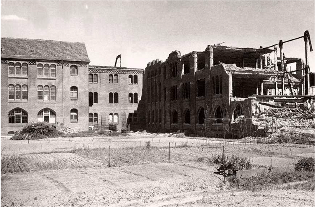 Berlin Herbarium destroyed during WWII, 1943. Archives of Rudolf Jenny.