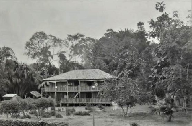 Research station Foz de Cop&eacute;a on the Solim&otilde;es, Upper Amazon (29 April 1903).