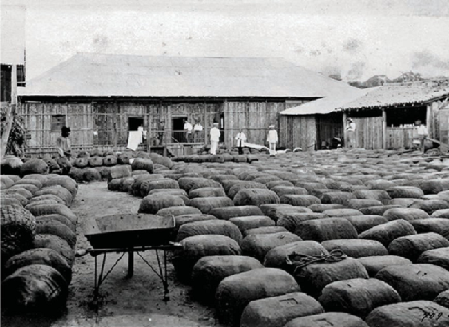 Rubber balls ready for export in Cobija, upper Acre River, 1912.