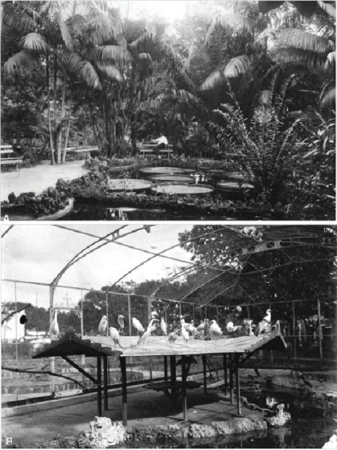 Museu Paraense Emilio Goeldi, 1901.