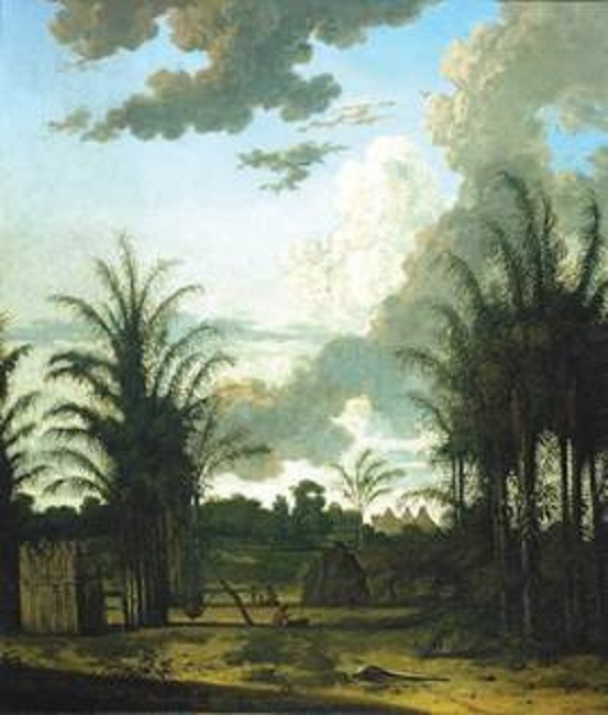 Plantation in Suriname, 1707.