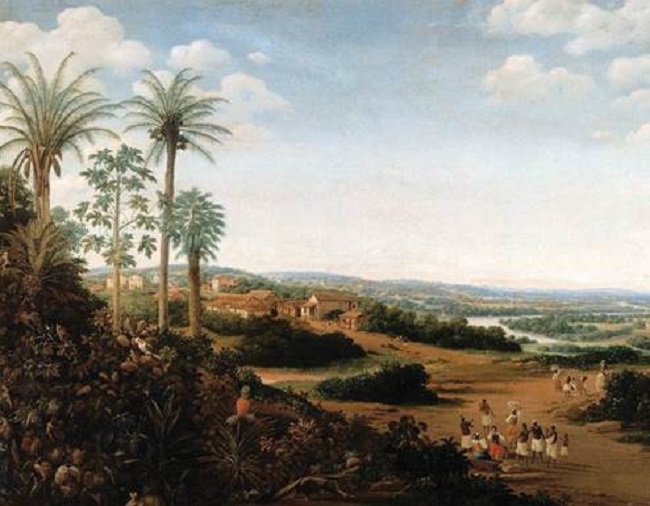 Pernambuco landscape.