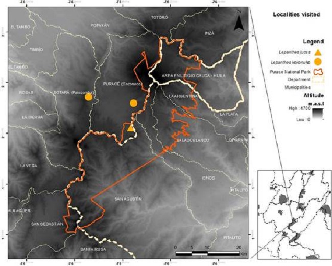 Distribution map of Lepanthes kokonuko J.S.Moreno & Pisso-Florez and Lepanthes jucas J.S.Moreno & S.Vieira- Uribe. 