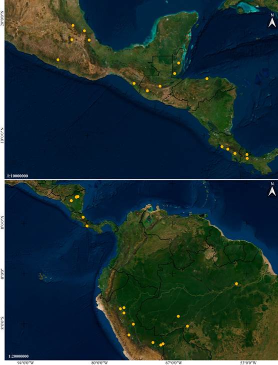 Distribution maps of Vanilla species based on studied specimens.