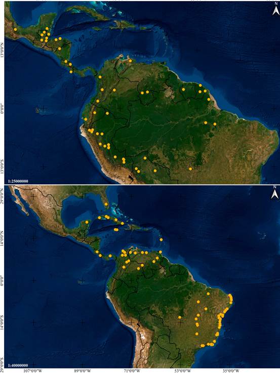 Distribution maps of Vanilla species based on studied specimens. 