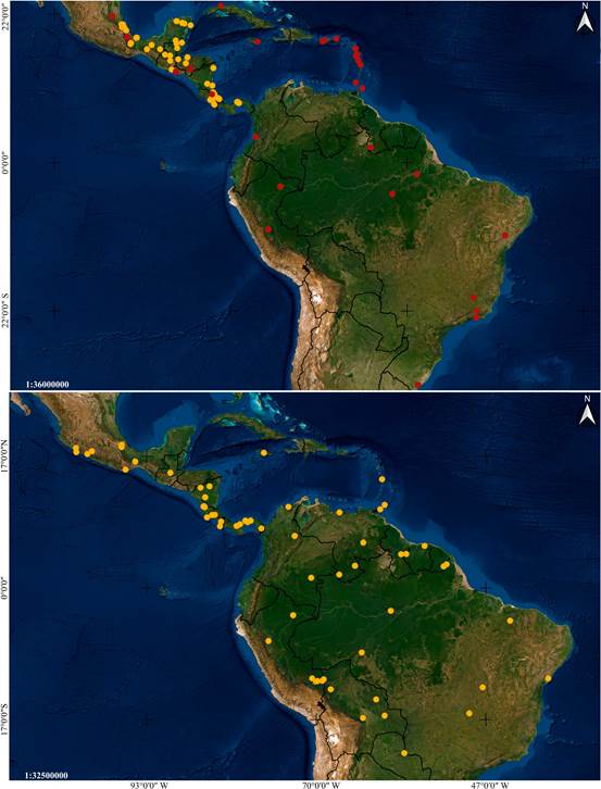 Distribution maps of Vanilla species based on studied specimens. 