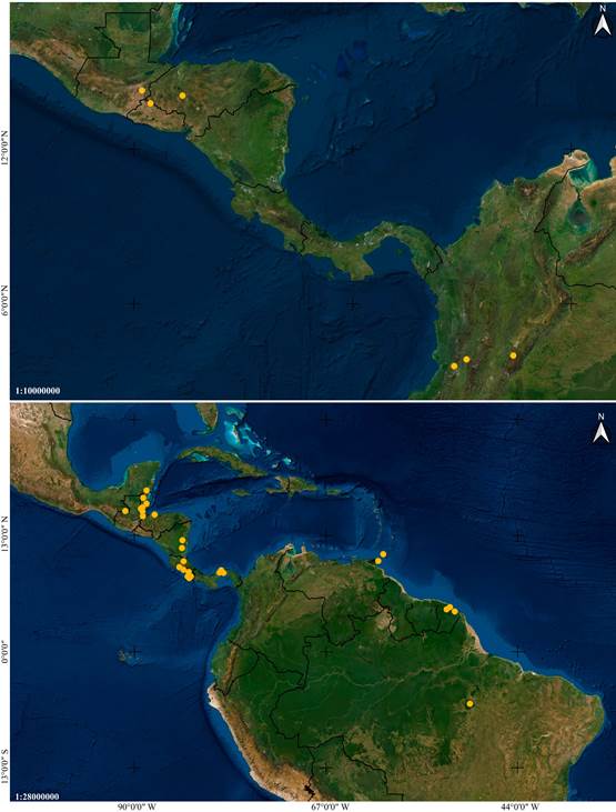 Distribution maps of Vanilla species based on studied specimens. 
