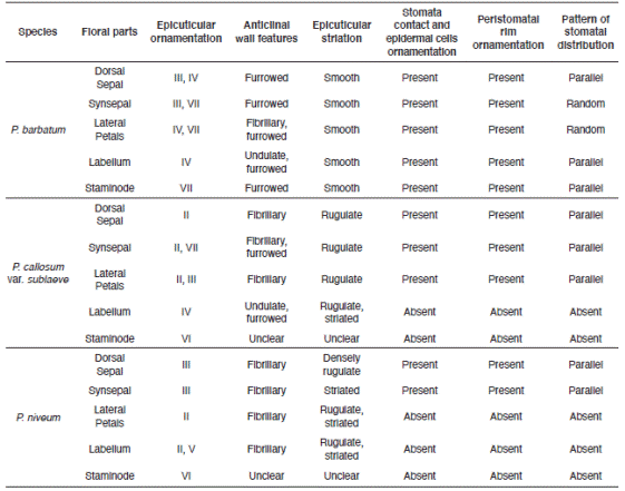 Features and distribution of floral-surface micromorphology characteristics of Paphiopedilum barbatum, P. callosum var. sublaeve and P. niveum (epidermal, stomata).