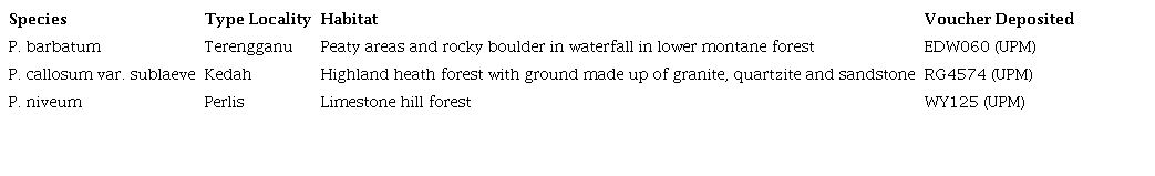 Paphiopedilum species examined including their locality, habitat and voucher.