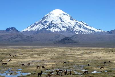 Nevado Sajama volcano with the Altiplano in the foreground.