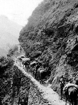 Road from Arica to La Paz, ca. 1910.