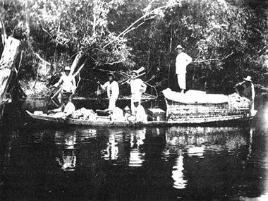 Henry H. Rusby in the Amazon Region, 1886. NYBG Library Archive. In Williams & Fraser, 2008: fig. 2. 