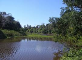 Pilcomayo River. 