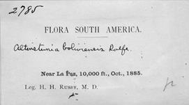 Henry Rusby herbarium label. Oakes Ames Orchid Herbarium, Harvard University.