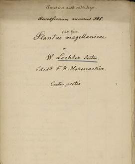 Hohenacker’s list of Lechler’s Plantae magellanicae.