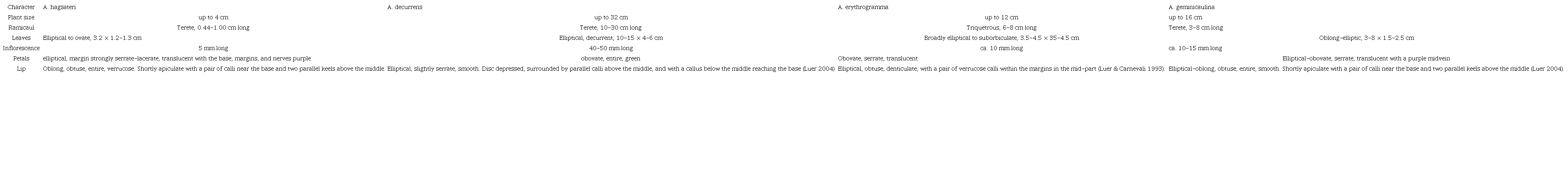 Main morphological differences among Acianthera hagsateri, A. decurrens, A. erythrogramma, and A. geminicaulina.