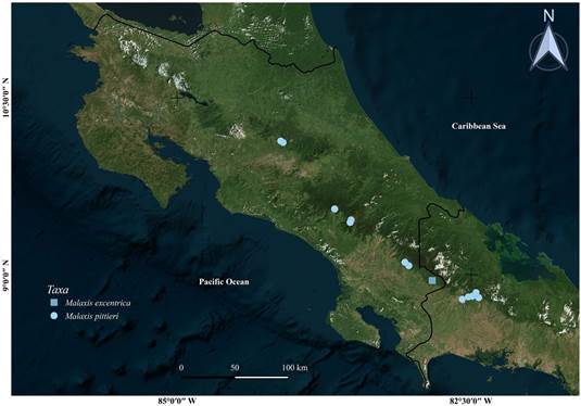 Distribution of Malaxis excentrica and Malaxis pittieri, based on the specimens examined. Satellite image source: Microsoft Bing Maps (2021).