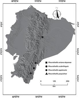 Distribution map of Pleurothallis ariana-dayanae, P. applanata, P. paquishae, and P. scabrilinguis in Ecuador.