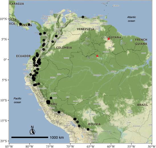 Geographical distribution of Scaphyglottis punctulata. Sites of old records are indicated by black circles. New record sites are indicated by red triangles.