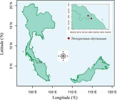 Distribution map of Thrixspermum obyrneanum from Southern Thailand and Peninsular Malaysia.