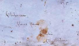 Chloraea multiflora Lindl. Bertero&rsquo;s herbarium label.