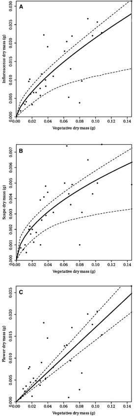 Reproductive output along increasing plant size of Lankesterella ceracifolia. represented by &lsquo;RV&rsquo; regressions.