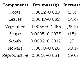 Minimum and maximum dry mass (g) values of vegetative and reproductive bodies of the orchid Lankesterella ceracifolia along increasing plant size. Number in parentheses indicates the factor of increase in the respective value.