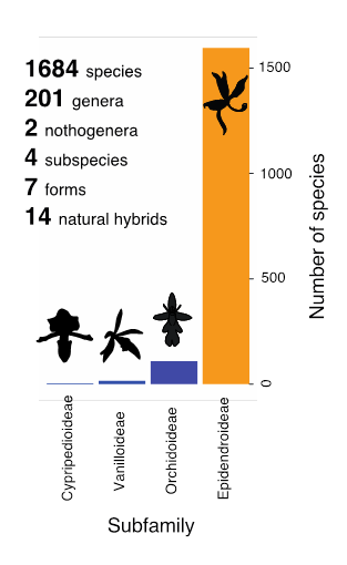 Distribution of species numbers across the orchid subfamilies within the Costa Rican orchid flora.