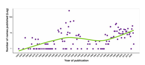 Historical count of orchid names published by year for the flora of Costa Rica.