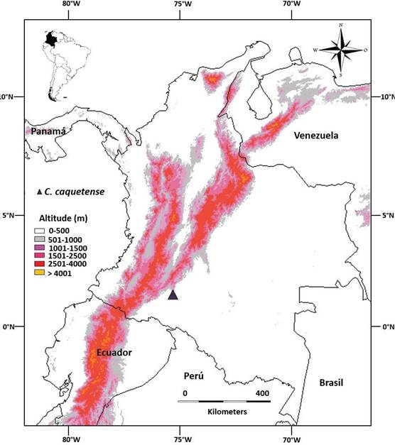 Distribution of C. caquetense R.A.Caldern-lvarez & M.Bonilla in Caquet Department.
