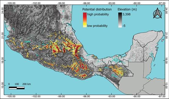 Potential distribution of Anathallis oblanceolata in Mexico.