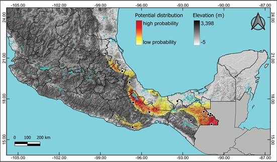 Potential distribution of Anathallis sertularioides in Mexico.
