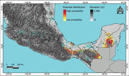 Potential distribution of Anathallis yucatanensis in Mexico.