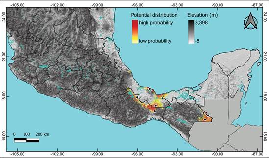 Potential distribution of Anathallis lewisiae in Mexico.