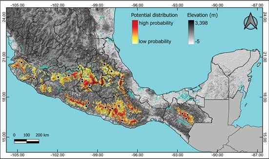 Potential distribution of Anathallis minutalis in Mexico.