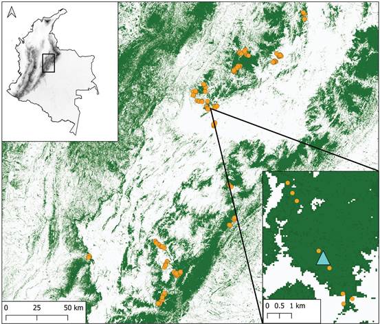 Distribution of Lepanthes bachue S.Vieira-Uribe, J.S.Moreno & E.Parra in Colombia. 