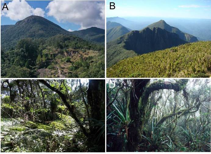 Baitaca and Ibitiraquire mountain ranges within the Paraná region of Serra do Mar.
