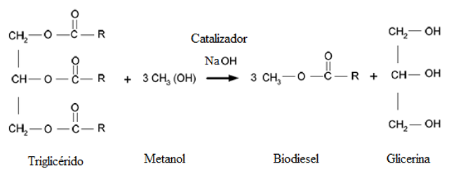 Reacci&oacute;n de transesterificaci&oacute;n entre un triglic&eacute;rido y el metanol