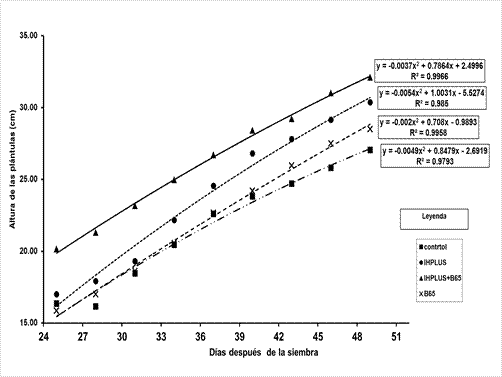 Altura de las plantas de Beta vulgaris L. bajo diferentes tratamientos