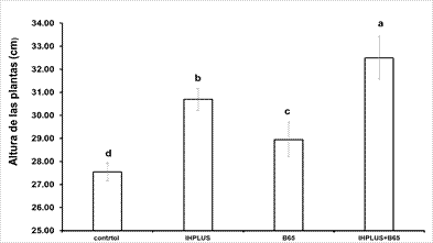 Comportamiento de la altura de las plantas por 25 días según los diferentes tratamientos
