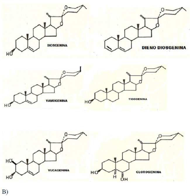 Estructuras de los compuestos esteroidales aislados e identificados de los frutos del Solanum jamaicense Mill. A) Alcaloides esteroidales. B) Sapogeninas esteroidales