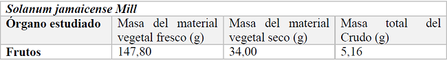 Resultado del proceso de preparación del material vegetal de Solanum jamaicense Mill